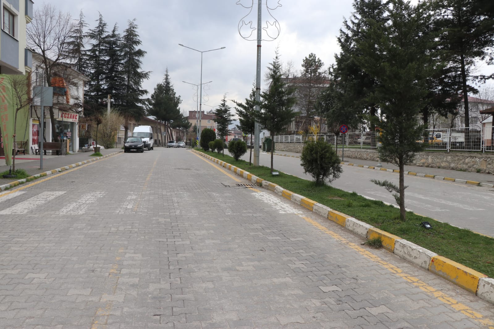 KAVAK’TA SESSİZ YAŞAM